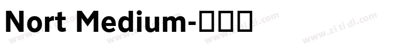Nort Medium字体转换